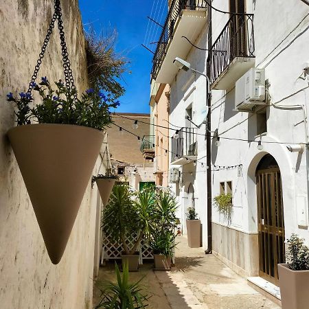 Blue Moon Bed and Breakfast Spinazzola Εξωτερικό φωτογραφία