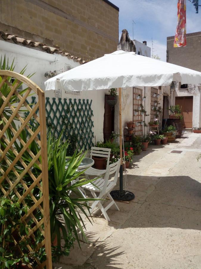 Blue Moon Bed and Breakfast Spinazzola Εξωτερικό φωτογραφία