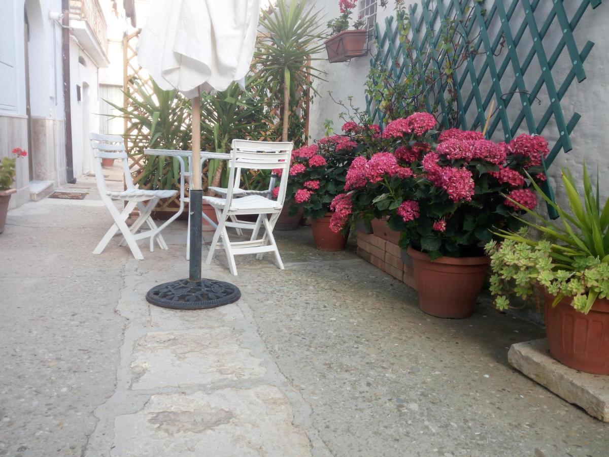 Blue Moon Bed and Breakfast Spinazzola Εξωτερικό φωτογραφία
